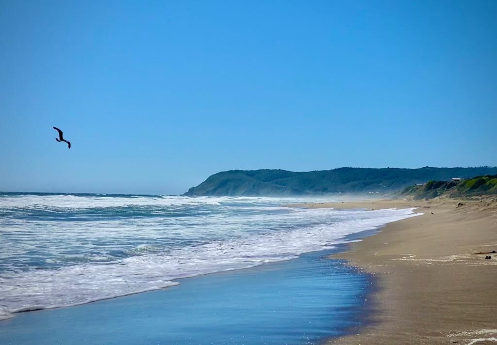 Playa de Curiñanco